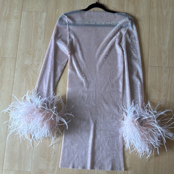 CUSTOM Mesh Rhinestone Dress Feathers Mini Dress in Pink - Picture 3 of 6